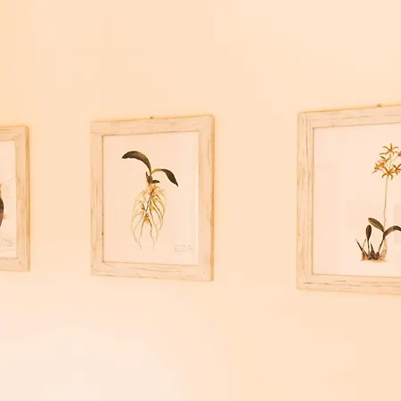 Casa Dolce Casa 3* Oltre il Colle