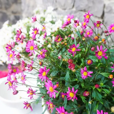 Casa Dolce Casa Oltre il Colle