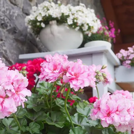 Casa Dolce Casa 3* Oltre il Colle